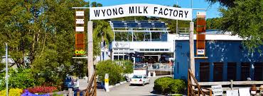 Wyong Milk Factory